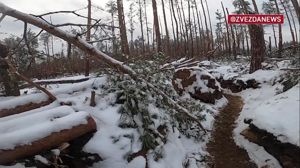 ��� � ����� ��� ���������: �������� ������ �������� ����� ������������� ���