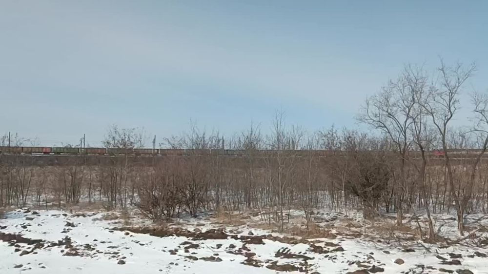 ����� ������: � ��������� ������� ����� �������� ������