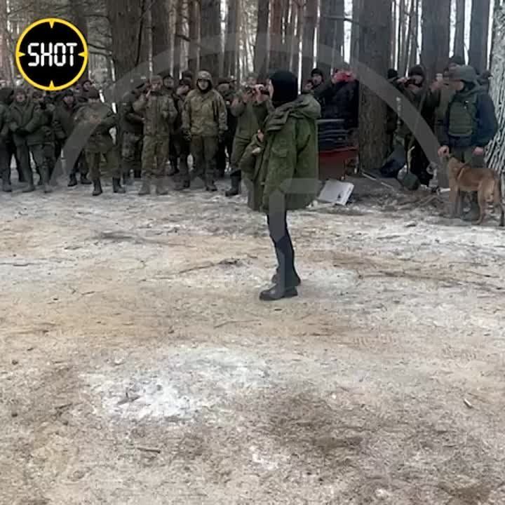 ���-������� �� ��������� � ���: �������� � ������ "����� ������" ����� �������� �������� ���������� ����� ������