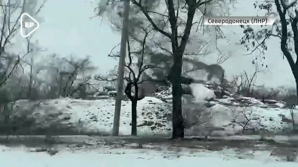 ������ ������ � ���� �������� �������� ������� ��� ���� ����� �������� � �������������