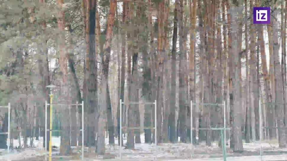 В ЛНР зафиксировали прибытие польского контингента под Кременную