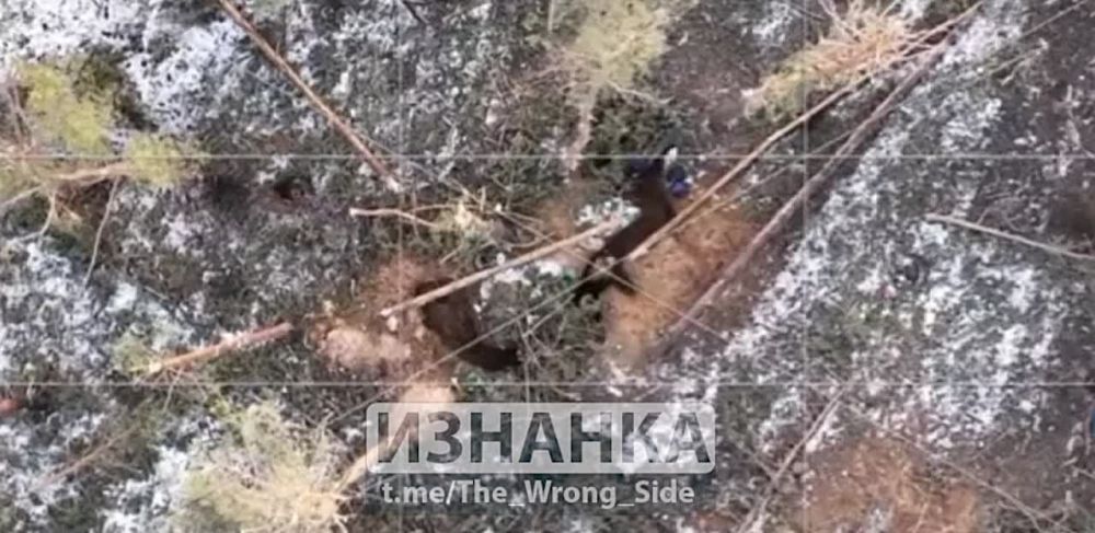 ������������ ����� ������ ������� �� �� �������� ������ ��� � ������ �.�. ���������