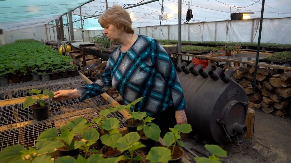 ������ ������� ��������� � ��������� �������� ���������� ���������� ��������������� ���������� ������������