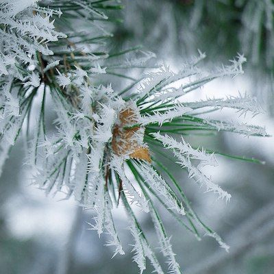 ����������� ������������ �� 10 �������� ������ � �������� 23 �������