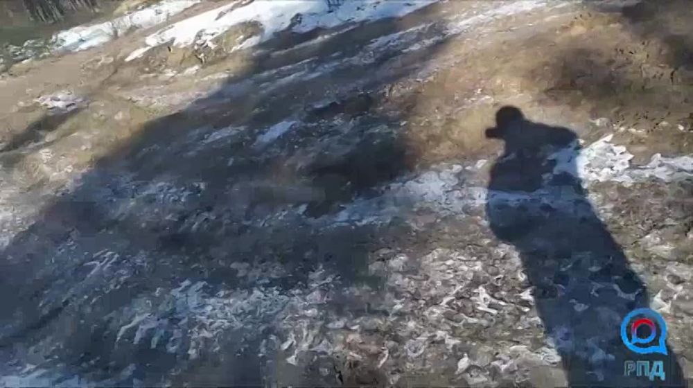 ��������� "�������" ���������� ���������� �����������