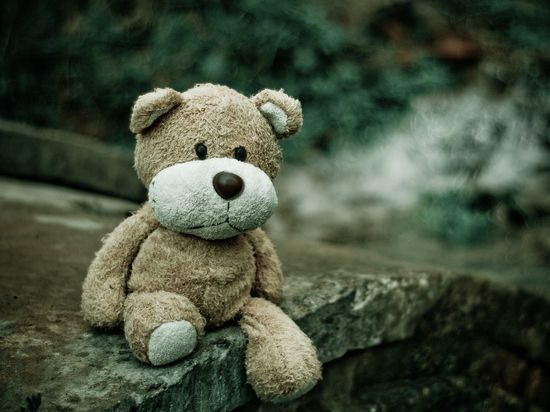 ������� �������� ��������� ������ � �� ������������: ���������� ����������