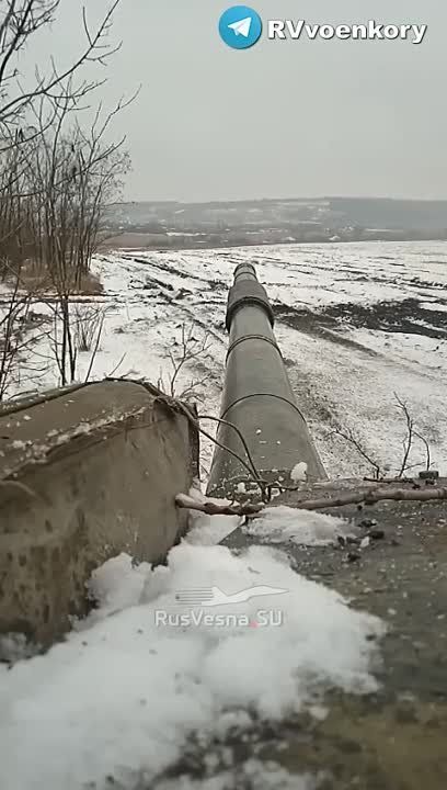 ����������� ������������: ���� ����� ������� �� ������ � �������-���������