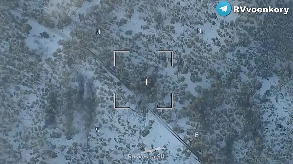 ����������� - ���������