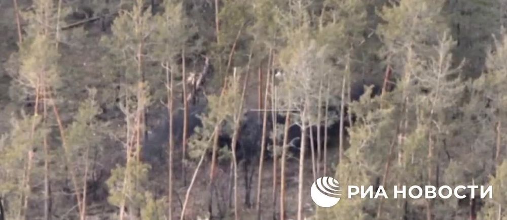 ���������� � ��� �������� �� ��������� �������������� ����� � ������ ����������