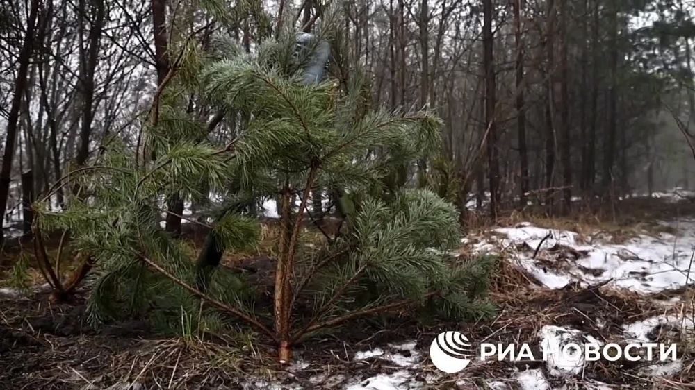 ���������� ������� ��� � ��� ����������� ����� ����� �������� ��-�� ���������� ���������� �� ������� ����������, ��������� ��� ������� �������� ������� � �������� "�����"