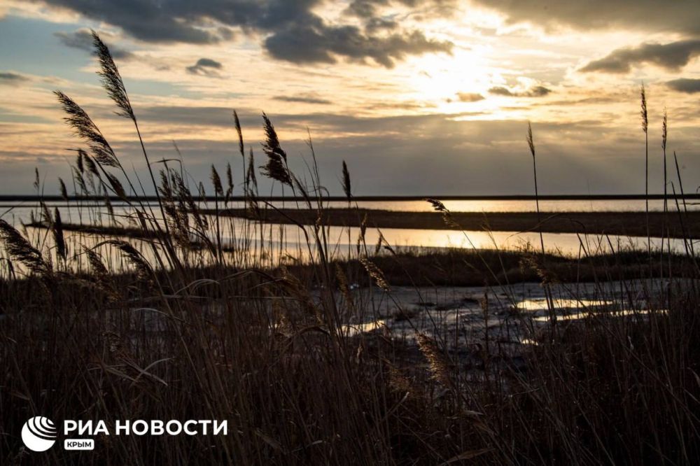 ������ �� ����� ����������� ������