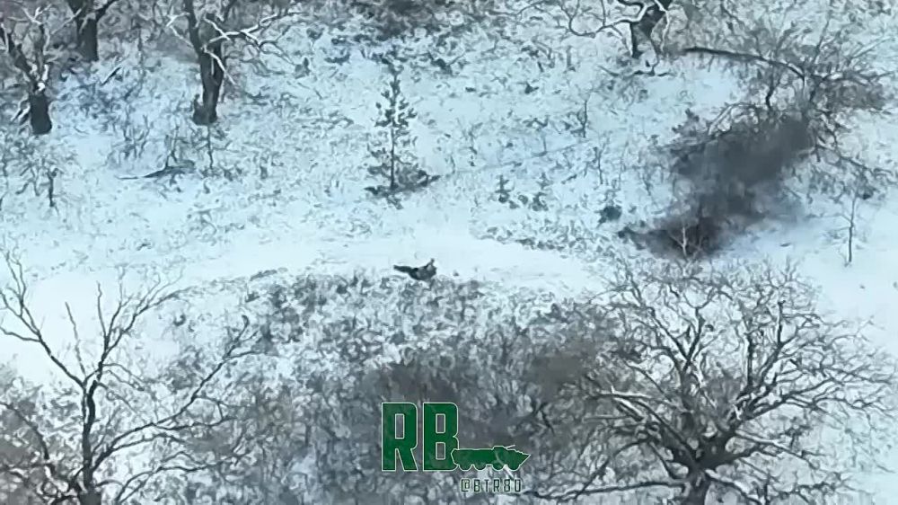 ��� ��� ���������: ����� �������� ���������� ������������