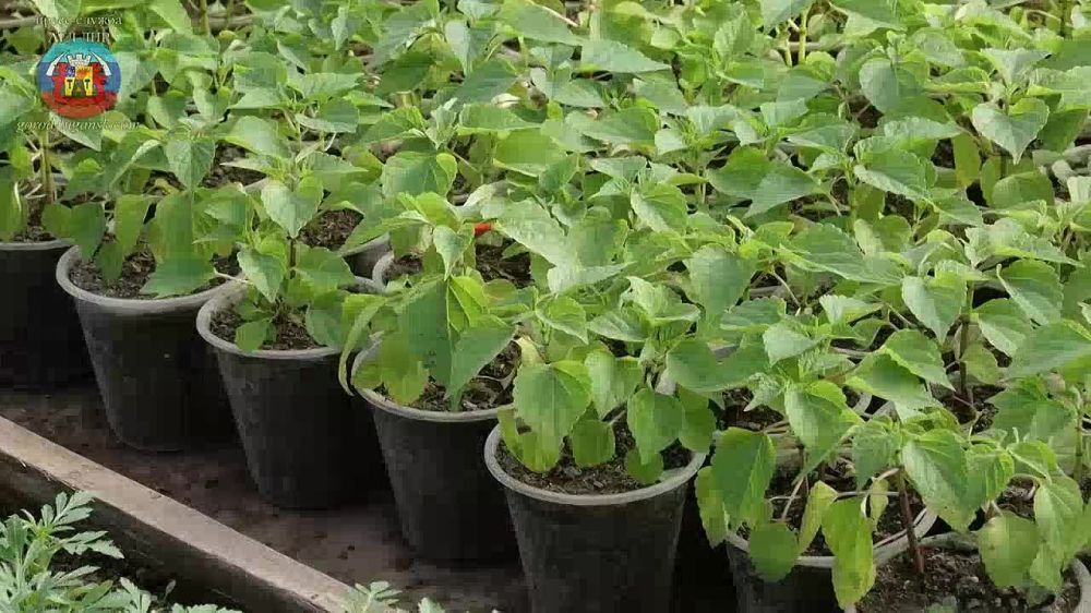 ������������� �������� ��������� �����!