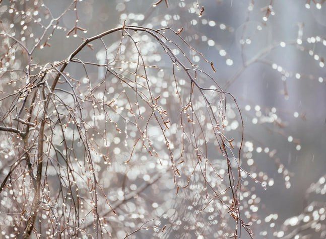 ��������� ����� ��������� ������ � ��������