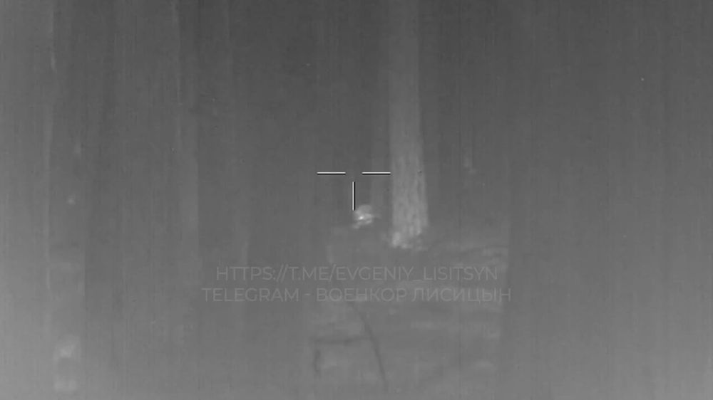 ������������� ����������� ������ �� ����������� �������-���������