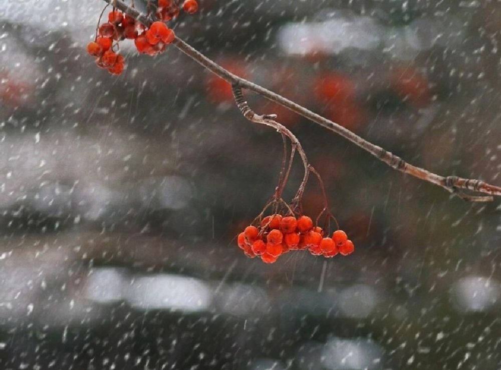 ������ ���� � ����� ��������� � �������� ������ �����