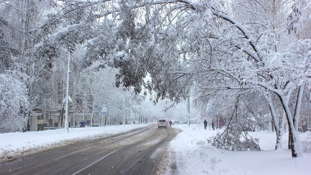 � ��� ��������� ������� ��������, ������� ������ ���������� ������������ �� ����������