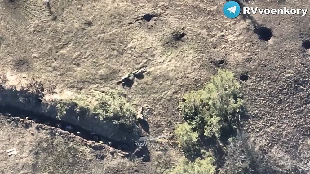 �������� ������ ���: ���������� ����� ��� � �������� � �������-���������