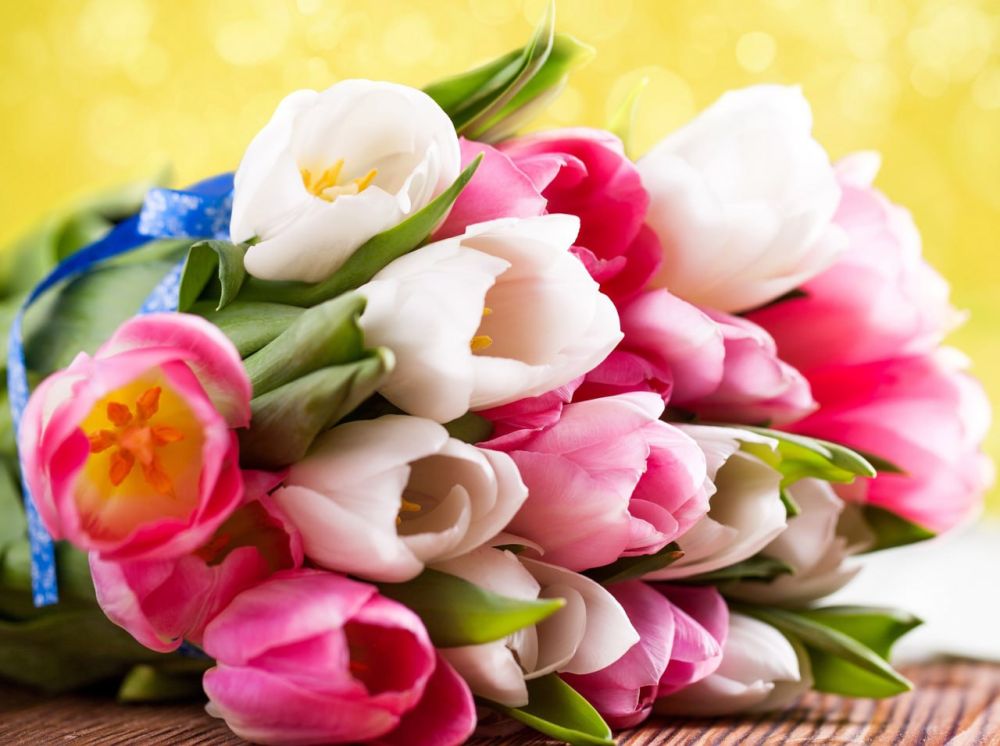 ������� ����������! ������� ��������� ������������ � ������������� ������� ����!