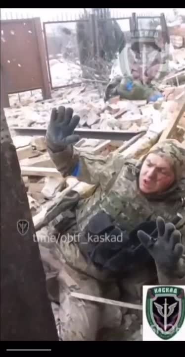 �����, �� �� ������ �� ����� �