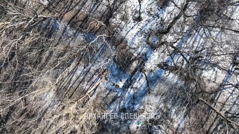 ����������� � ������� ���� ������� ������� ������, ��� ����� � ������