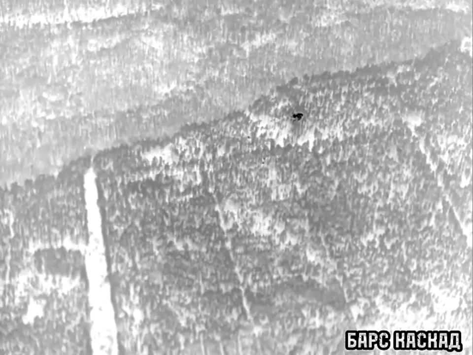 ������������ ����������� ��� ���������