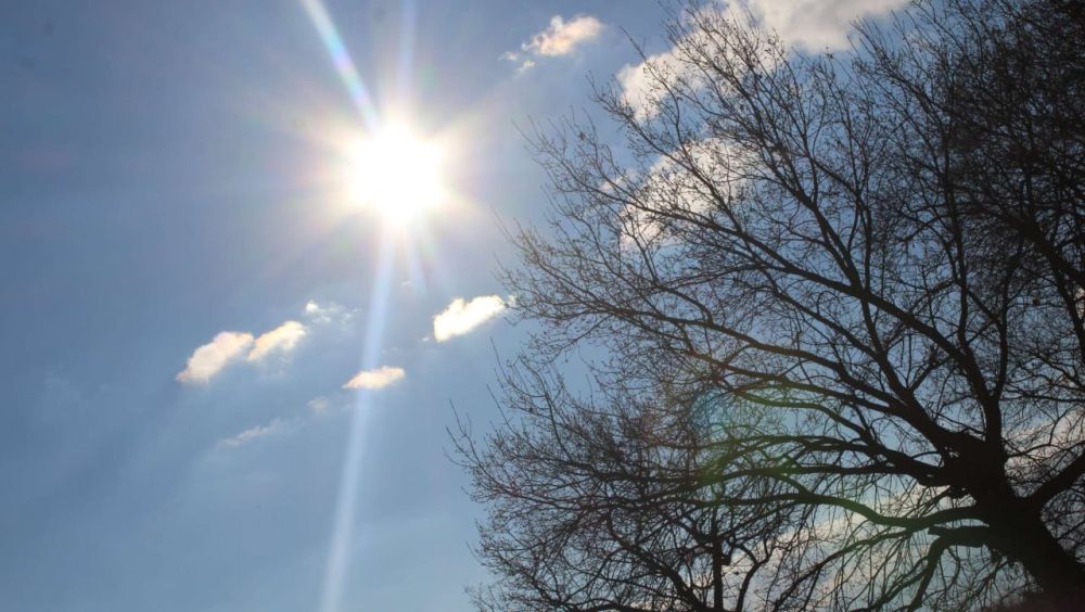 ����������� �� 14 �������� ����� ��������� ������ � ��������