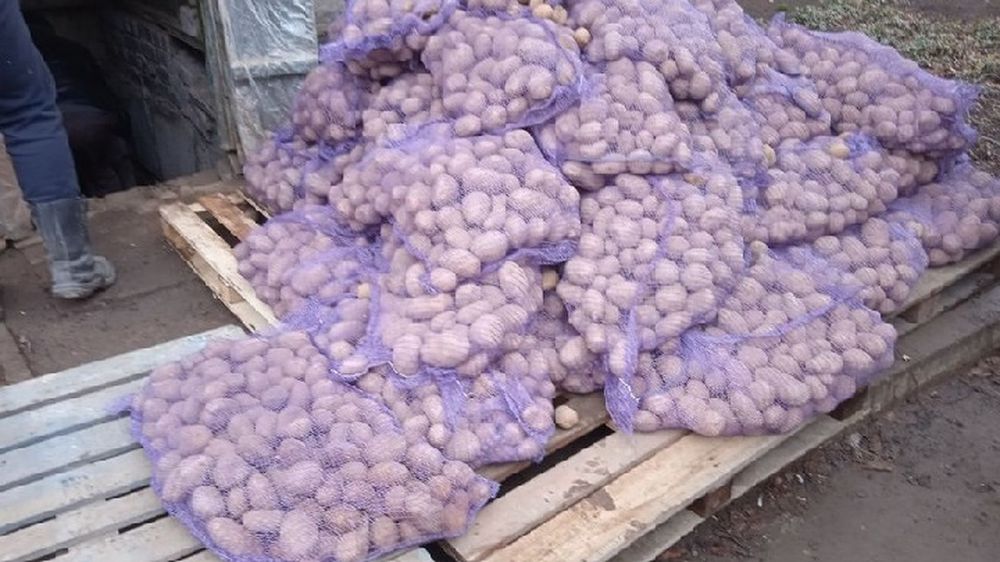 Администрация Первомайска доставила в Золотое и Горское 13 тонн картофеля