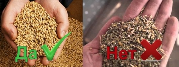 ����� ������ �������� ����� ������� ������ ����������� ��� ����������� �������� ������� �����