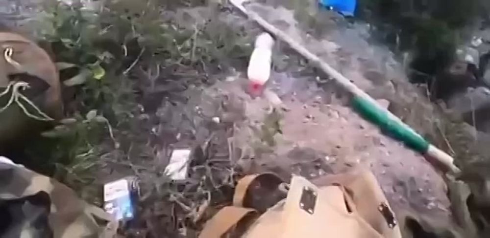 ��� ��� ������������ � ��������� ������� � ������� ���