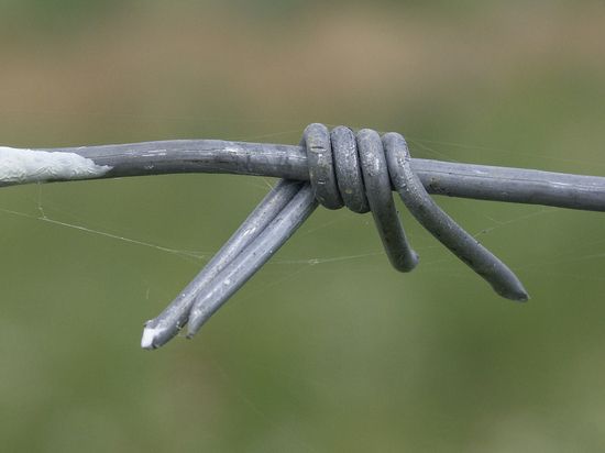 ����������� ���������� ��������� ����������� � 13 ����� ������� �� �������� �� ������ �������