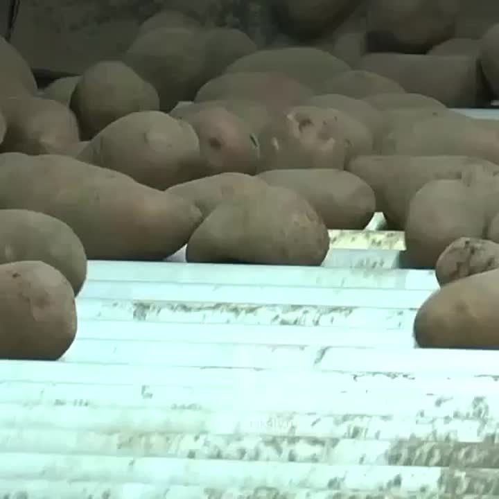 ��������� ������� ��������� ����� 20 ���� �������� � ���