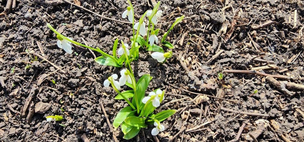 ������ �������: �������� �� �� ��� ���������� � �������� ������ �� �����