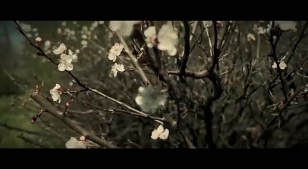 ���������� ����� ������ �� ����������� ���������� ������� ���������� ������ !