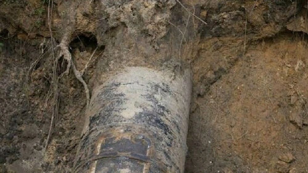 � �������� �������� ������ ���� ���������� ��������� �������� ��������