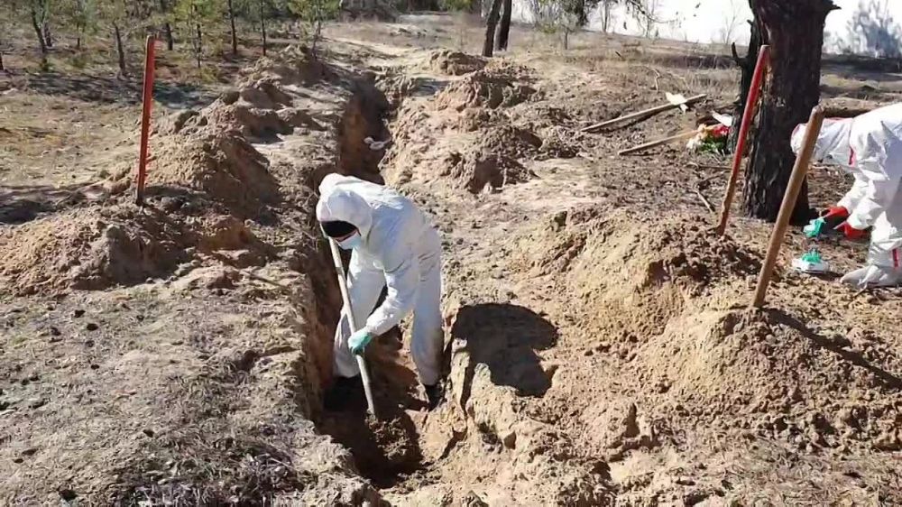 ��������� ���������������� ������� ������ �� ������� ����������� ����� ���������� ��������, �� ������������� � ������������...