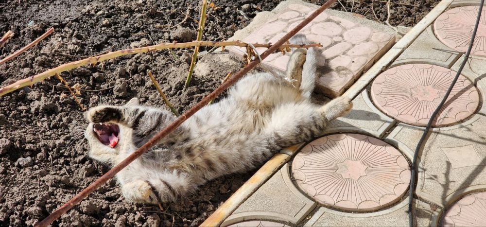 ������ �������: �������. ����.. @marochkolive