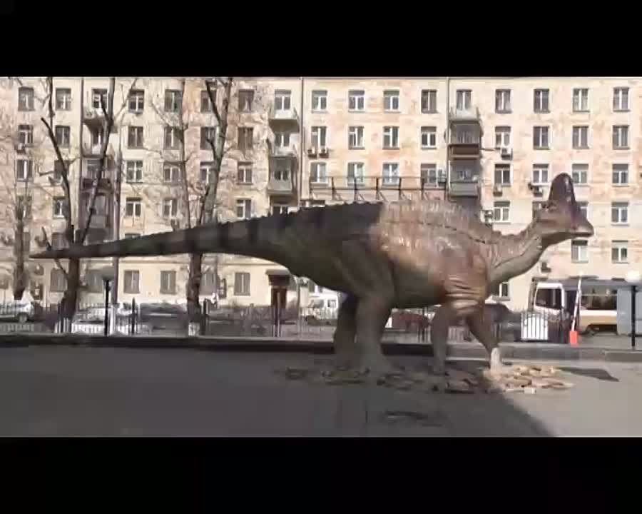 ������� ���������������� ������������� �����, ������� ���������� � ������, �������� � ����� ������� ��������� ���� ������ �� ���������� �������� 24�