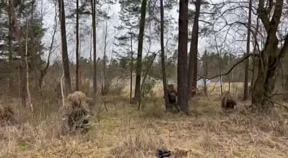 � ��������: ���� ������ ����� ������� ���� ������ ����������