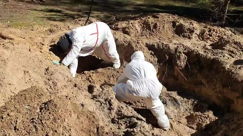 ��������� ���������������� ������� ������ �� ������� ����������� ����� ���������� ��������, �� ������������� � ������������...