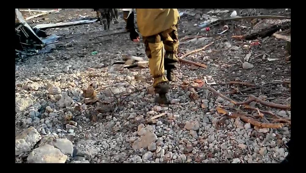 ������ �������: 2014 ���. ��������� ��������