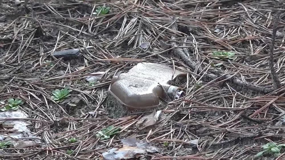 ���������� ��� ��� ����������� ��������������� �������� ���� "��������" � ������ ������� ���������� ���� ���������, ��������� � ������ ������������� � ����� ������������ ������ ���������