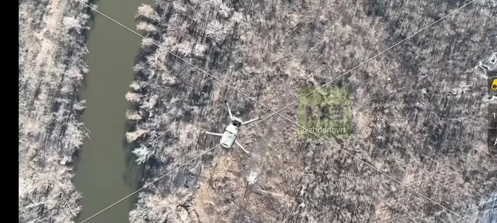 ����� ������: ���� ������ ����� ��������� �� ���������� �����������