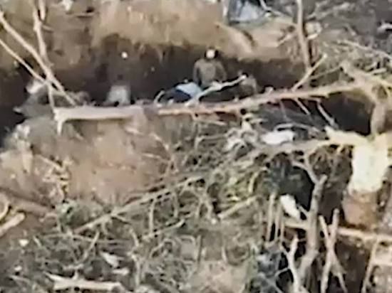 ���������� �������������� � �������� �������� ���������� ���� ��� ���������