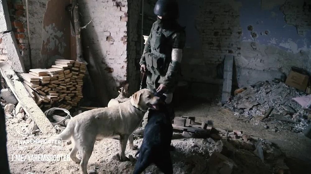 ���������� ��� �������, ������ ������, ������� �������� ��������