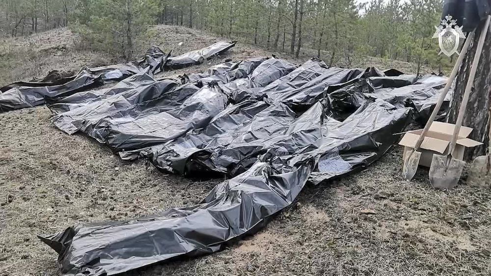 � ��������� �������� ���������� ����������� ���������� ������ �� ������ ����������� �������