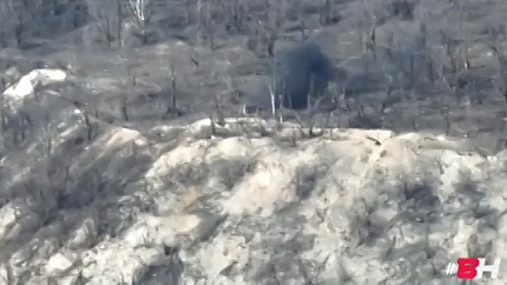 ���� ����� ������� ������� ��� � ���������� �������