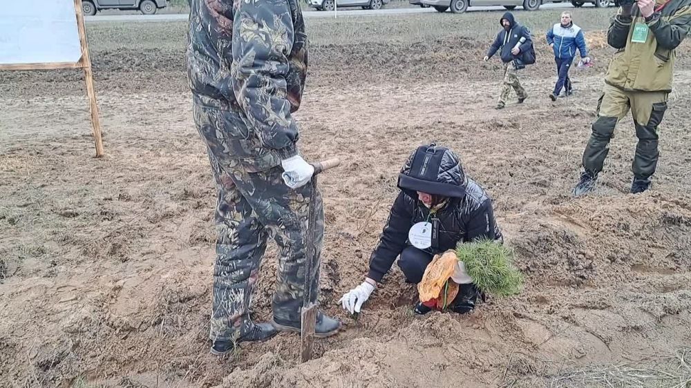 � ��������� �������� ���������� � ������ ����� ���� ������ �������� ��� ���������� ������ � ����� ������ ��� � ������ ���, �������� � ������������ ������� � ������������� ������������ ���