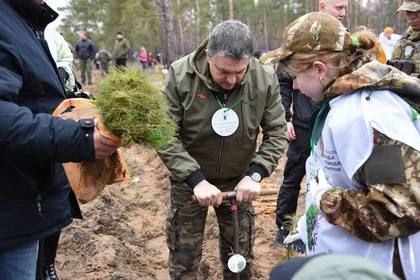 � ��� �������� 12 ����� ������� �����