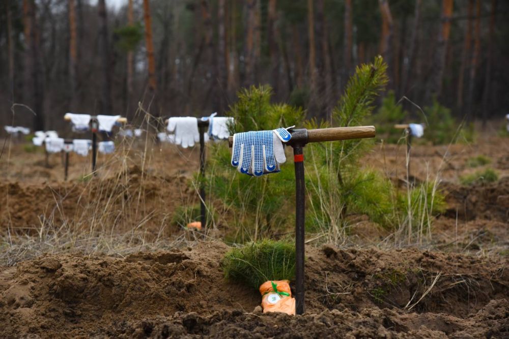 ������ ��������: ������ ������� � ������������� ����� ���� ������